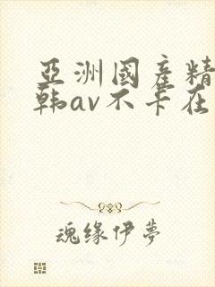 亚洲国产精品日韩av不卡在线