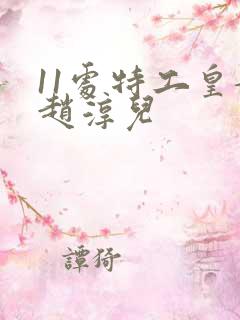 11处特工皇妃赵淳儿