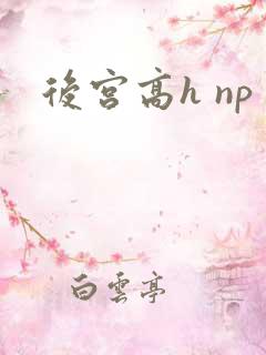 后宫高h np