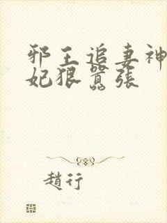 邪王追妻神医狂妃狠嚣张