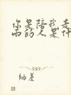 你是陪我走过风雨的人是什么歌曲