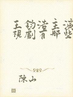 王钧浩主演的电视剧有哪些