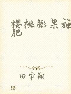 樱桃膨果施什么肥