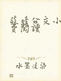 苏晴公交小说免费阅读