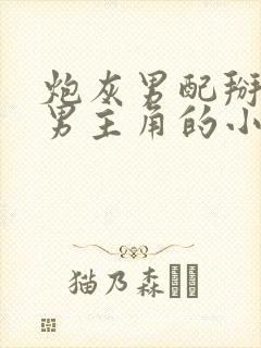 炮灰男配掰弯直男主角的小说