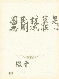 国民校草是女生无删减版 小说