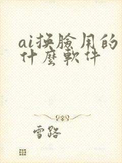 ai换脸用的是什么软件