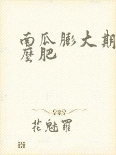 南瓜膨大期施什么肥