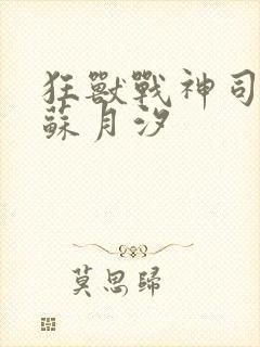 狂兽战神司空靖苏月汐