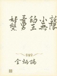 好看的小说推荐双男主无限流