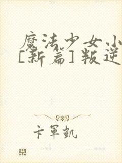 魔法少女小圆 [新篇] 叛逆的物语