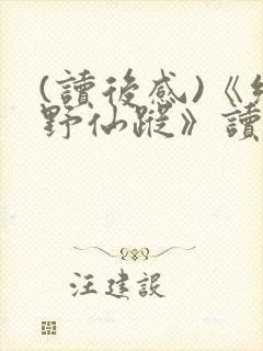 (读后感)《绿野仙踪》读后感范文500字