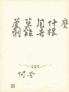 芦草用什么除草剂能去根