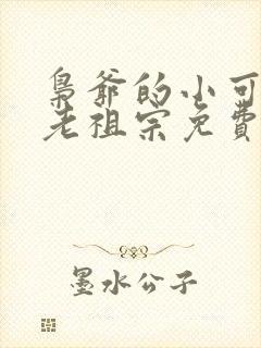 枭爷的小可爱是老祖宗免费阅读全文