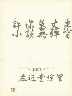 许你万丈光芒好小说无弹窗无广告