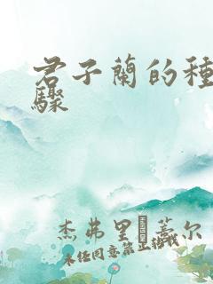 君子兰的种法步骤