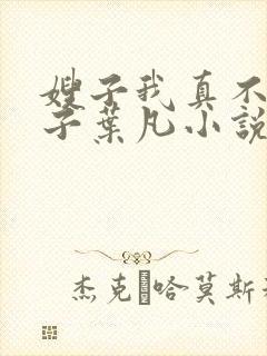 嫂子我真不是傻子叶凡小说