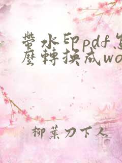 带水印pdf怎么转换成word