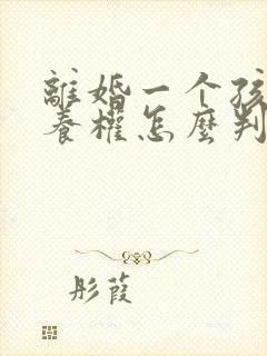 离婚一个孩子抚养权怎么判