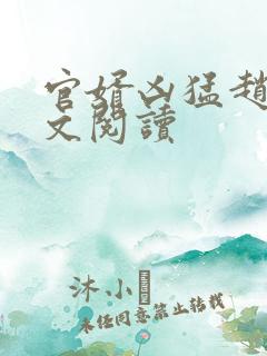 官婿凶猛赵阳全文阅读