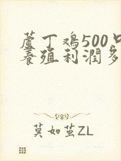 芦丁鸡500只养殖利润多少