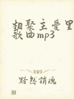 相聚主爱里原唱歌曲mp3