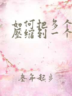如何把多个文件压缩到一个压缩包