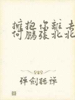 拥抱你离去dj何鹏张北北