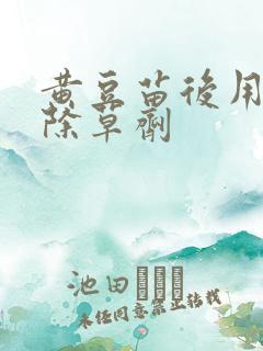 黄豆苗后用什么除草剂