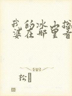 我的冰山总裁老婆在哪里看小说