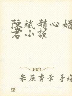 陈斌赵心媚高婉君小说
