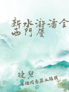 新水浒潘金莲和西门庆
