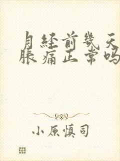 月经前几天乳房胀痛正常吗?