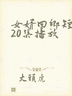 女婿回乡短剧120集播放
