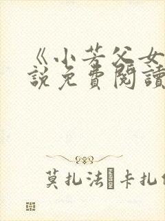 《小芳父女》小说免费阅读