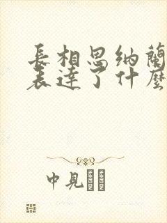 长相思纳兰性德表达了什么之情