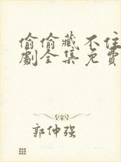 偷偷藏不住电视剧全集免费观看,一共多少集