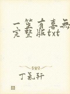 一笙有喜无删减完整版txt