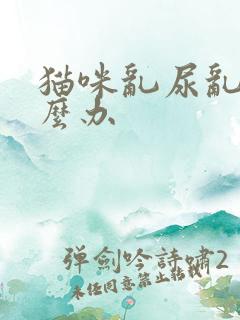 猫咪乱尿乱拉怎么办