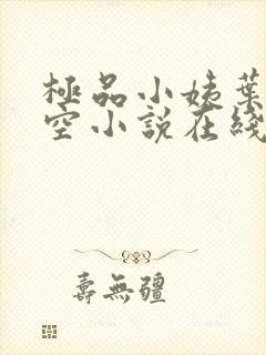 极品小姨叶凡司空小说在线阅读全文