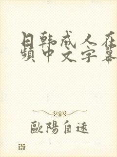 日韩成人在线视频中文字幕