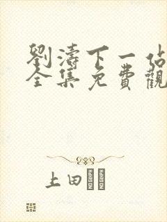 刘涛下一站婚姻全集免费观看