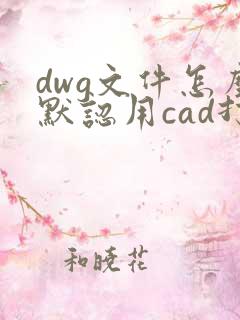 dwg文件怎么默认用cad打开