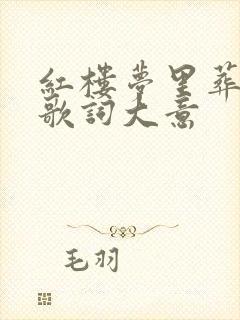 红楼梦里葬花吟歌词大意