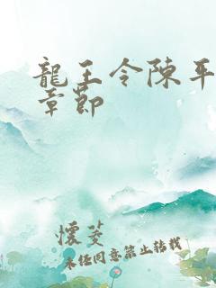 龙王令陈平全部章节