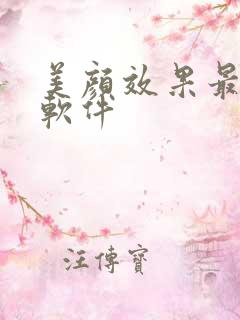 美颜效果最好的软件