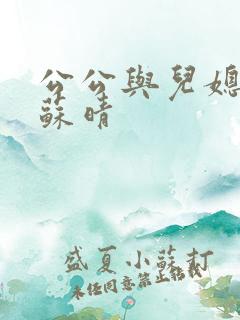 公公与儿媳小说苏晴