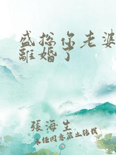 盛总你老婆又闹离婚了
