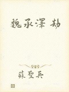 魏承泽 劫