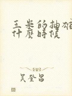 玉米的抽雄期是什么时候